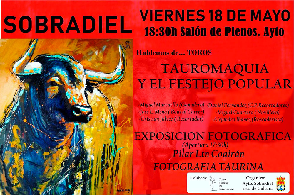 Hablemos de... toros